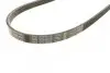 Ремень генератора BMW X5 (E53) 3.0D 03-/Opel Astra G 1.7TD -00 (4PK884) BOSCH 1 987 947 807 (фото 5)