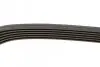 Ремінь генератора Lada Kalina 1.4 08-13/ MB 190 (W201) 2.0-82-93/ 210-410 2.9 -96 BOSCH 1 987 947 817 (фото 3)