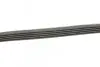 Ремень генератора Citroen Berlingo 1.1-1.4 96-11/Peugeot Partner 1.1-1.4 96-15 (5PK725) BOSCH 1 987 947 831 (фото 4)