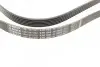 Ремінь генератора MB OM601/602 (6PK1980) BOSCH 1 987 947 832 (фото 2)