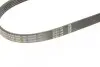 Ремень генератора Ford Focus/Kuga 2.5 05- (5PK850) BOSCH 1 987 947 847 (фото 4)