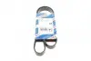 Ремень генератора Citroen Jympy/Peugeot 3008/5008/Expert 2.0BlueHDi 16- (6PK1230) BOSCH 1 987 947 885 (фото 1)