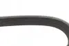Ремень генератора Citroen Jympy/Peugeot 3008/5008/Expert 2.0BlueHDi 16- (6PK1230) BOSCH 1 987 947 885 (фото 4)