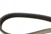 Ремень генератора Honda Civic VI/Nissan Primera/Citroen Berlingo 1.4-1.6 16V 94-05 (4PK800) BOSCH 1 987 947 893 (фото 3)