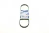 Ремень генератора поликлиновый Nissan Primera 93-01/Peugeot 205/309 85-98/Hyndai Accent 1.1-1.6 95-10 (4PK815) BOSCH 1 987 947 894 (фото 1)