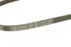 Ремень генератора поликлиновый Nissan Primera 93-01/Peugeot 205/309 85-98/Hyndai Accent 1.1-1.6 95-10 (4PK815) BOSCH 1 987 947 894 (фото 4)