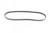 Ремінь генератора Renault Kangoo/Clio 1.2i 97-/Fiat Scudo 1.6i 96-06/Nissan Kubistar 1.2 03- (4PK905) BOSCH 1 987 947 899 (фото 5)
