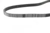 Ремень генератора Citroen Berlingo 1.1/1.6 96- (5PK884) BOSCH 1 987 947 912 (фото 2)