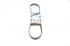 Ремень генератора Mazda 323/626/ Opel Astra G/Vectra B/C 2.0/2.2 00-08 (5PK1030) BOSCH 1 987 947 923 (фото 1)