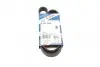 Ремень генератора VW Caddy/Golf/Skoda Octavia 1.6/2.0 04-15/Fiat Ducato 2.5TDI 94-02/Scudo 1.6 96-06 BOSCH 1 987 947 936 (фото 1)
