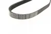 Ремень генератора VW Caddy/Golf/Skoda Octavia 1.6/2.0 04-15/Fiat Ducato 2.5TDI 94-02/Scudo 1.6 96-06 BOSCH 1 987 947 936 (фото 2)