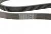 Ремень генератора Opel Vectra 1.8-2.2 86-03/Audi A6 2.5TDI 94-97/Chevrolet Lacetti 1.8 05- (6PK1725) BOSCH 1 987 947 952 (фото 3)