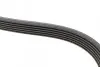 Ремень генератора Opel Vectra 1.8-2.2 86-03/Audi A6 2.5TDI 94-97/Chevrolet Lacetti 1.8 05- (6PK1725) BOSCH 1 987 947 952 (фото 4)
