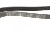 Ремень генератора Fiat Scudo/Citroen Berlingo/VW Golf IV 1.8/1.9TDI 97- (6PK1660) BOSCH 1 987 947 978 (фото 2)