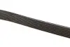 Ремень генератора Fiat Scudo/Citroen Berlingo/VW Golf IV 1.8/1.9TDI 97- (6PK1660) BOSCH 1 987 947 978 (фото 3)