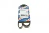 Ремень генератора VW Crafter 2.0TDI 11-16/Opel Corsa D 1.7CDTI 06-11/Ford Fiesta 00-03 (6PK1610) BOSCH 1 987 947 983 (фото 1)