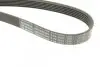 Ремінь генератора Opel Astra 1.7CDTI 04-10/ Subaru Outback 3.0-3.6 05-/ VW Passat 3.2 05- (6PK1623) BOSCH 1 987 947 985 (фото 5)