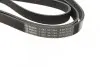 Ремень генератора Mazda 3 1.3/1.6 03-09 (6PK2013) BOSCH 1 987 947 994 (фото 3)