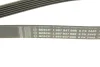 Ремінь генератора MB E-class (W211) 5.5 02-08 (M113)/Land Rover Range Rover 5.0SCV8 13- (6PK2445) BOSCH 1 987 947 998 (фото 5)