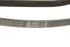 Ремень генератора Jeep Grand Cherokee II 2.7 CRD 01-05 BOSCH 1 987 948 335 (фото 4)