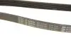 Ремень генератора Jeep Grand Cherokee II 2.7 CRD 01-05 BOSCH 1 987 948 335 (фото 5)