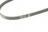 Ремінь генератора Suzuki Baleno 95-02/ Toyota Auris/Verso 1.3-1.6 i 10- (4PK900) BOSCH 1 987 948 349 (фото 4)