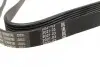 Ремень генератора Peugeot Expert/Citroen Jumpy 2.0HDi 07-/Ford Focus/Kuga 2.0TDCi 04-12 (6PK1215) BOSCH 1 987 948 391 (фото 2)