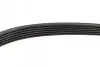 Ремень генератора Peugeot Expert/Citroen Jumpy 2.0HDi 07-/Ford Focus/Kuga 2.0TDCi 04-12 (6PK1215) BOSCH 1 987 948 391 (фото 3)