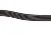 Ремінь генератора Ford Transit 2.4 DI-2.4TDCI 00-06 (7PK2875) BOSCH 1 987 948 401 (фото 4)
