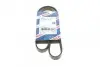 Ремінь генератора Opel Movano/Renault Master 2.5D/2.8DTI 98-01/Megane/Laguna 1.4-1.6 03-08 (5PK1195) BOSCH 1 987 948 413 (фото 1)