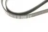 Ремінь генератора Opel Movano/Renault Master 2.5D/2.8DTI 98-01/Megane/Laguna 1.4-1.6 03-08 (5PK1195) BOSCH 1 987 948 413 (фото 5)