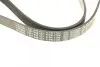 Ремень генератора VW Golf/Caddy 1.4 04-10/Renault Espace 3.5 02-/Audi A4/A6 2.0TFSI 08-15 (6PK1100) BOSCH 1 987 948 437 (фото 3)