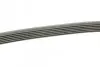 Ремінь генератора Opel Astra J/Corsa D 1.7CDTI 09-15/Ford Focus 1.8TDCi 98-04 (6PK1715) BOSCH 1 987 948 453 (фото 2)