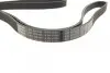 Ремень генератора поликлиновый Peugeot 206/406/806/Expert/Fiat Scudo/Citroen C5/C8/Jumpy 1.9D/2.0HDI 95- BOSCH 1 987 948 496 (фото 2)