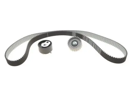 РМК ГРМ Z=178 FIAT/IVECO Ducato/Daily \'\'06-14 BOSCH 1987948912