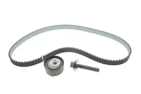 РМК ГРМ Z=117 FORD/VOLVO Connect/Fiesta/C/S-Max/Mondeo/V40/V60/V70/S80 \'\'10>> BOSCH 1987948967