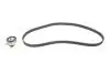 Комплект ГРМ Opel Astra F/Omega A/B 1.6/1.8/2.0i 88-03 BOSCH 1987948994 (фото 1)