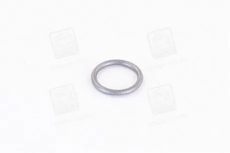 Уплотнительное кольцо BOSCH 3 430 210 603 (фото 1)