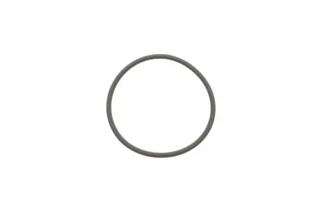 Уплотнительное кольцо BOSCH F00HN35932