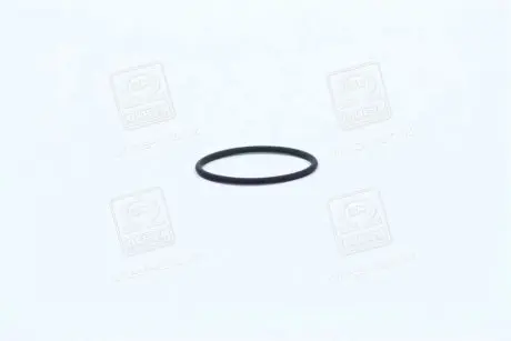 Кольцо резиновое BOSCH F00RJ00220
