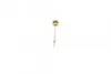 Шток форсунки топливной MB Vaneo 1.7CDI 02-05 (OM668) BOSCH F 00V C01 024 (фото 3)