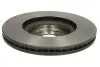 Тормозной диск BREMBO 09.N256.21 (фото 2)