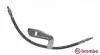 Шланг тормозной BREMBO T24095 (фото 1)