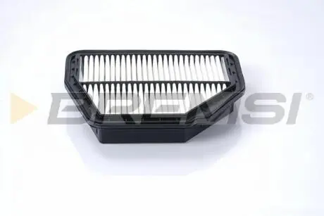 Фільтр повітряний Opel Antara/Chevrolet Captiva 2.0D/2.4LPG/3.2V6 06- BREMSI FA1039