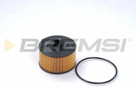 Фільтр масляний Renault Kangoo/ Megane III/IV/Scenic III/IV 1.2TCe 12- BREMSI FL0009