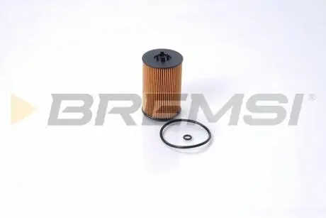 Фільтр масляний VW Passat 1.6/2.0TDI 14- BREMSI FL0021