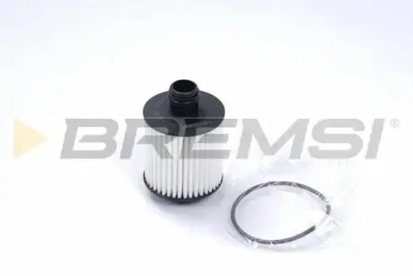Фільтр масляний Fiat Doblo/Fiorino/Punto/Qubo 1.3 D Multijet 13- BREMSI FL0143