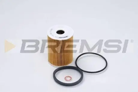Фільтр масляний Chevrolet Captiva/Cruze/Epica/Lacetti/Nubira/Opel Antara 2.0D 05- BREMSI FL0253