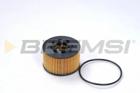 Фільтр масляний Ford Transit V184 00-06 BREMSI FL0259