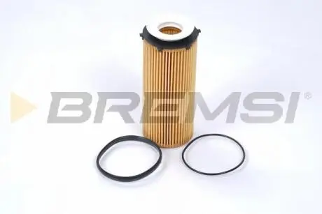 Фильтр масляный BMW 3 (E90/E91/E92/E93)/5 (F10/F11) (F07)/7 (F01/F02/F03/F04)/X5 (E70)/X6 (E71) 08- BREMSI FL0271